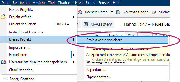 Projektkopie speichern